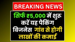 Business idea: सिर्फ ₹5,000 में शुरू करें यह पैकिंग बिजनेस, गांव से होगी लाखों की कमाई
