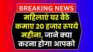 Work From Home: महिलाएं घर बैठे कमाए 20 हजार रूपये महीना, जाने क्या करना होगा आपको